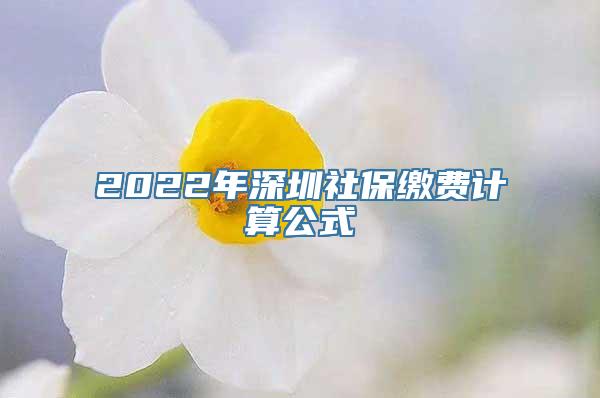 2022年深圳社保缴费计算公式