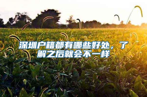 深圳户籍都有哪些好处，了解之后就会不一样