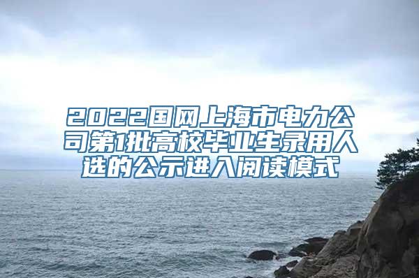 2022国网上海市电力公司第1批高校毕业生录用人选的公示进入阅读模式