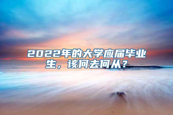 2022年的大学应届毕业生，该何去何从？