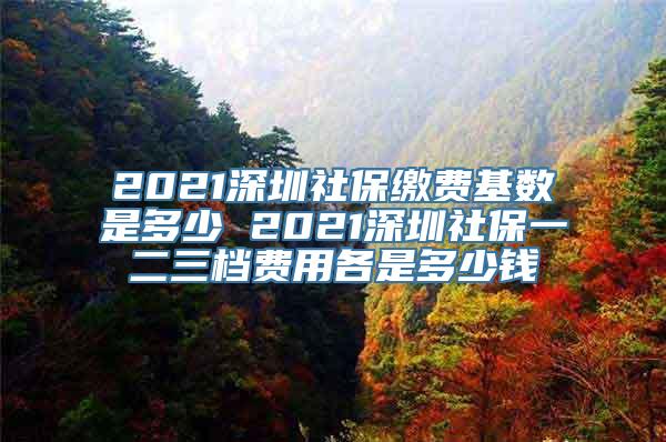 2021深圳社保缴费基数是多少 2021深圳社保一二三档费用各是多少钱