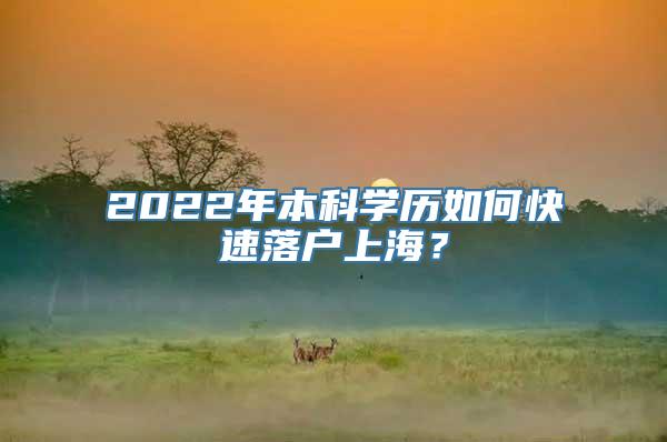 2022年本科学历如何快速落户上海？