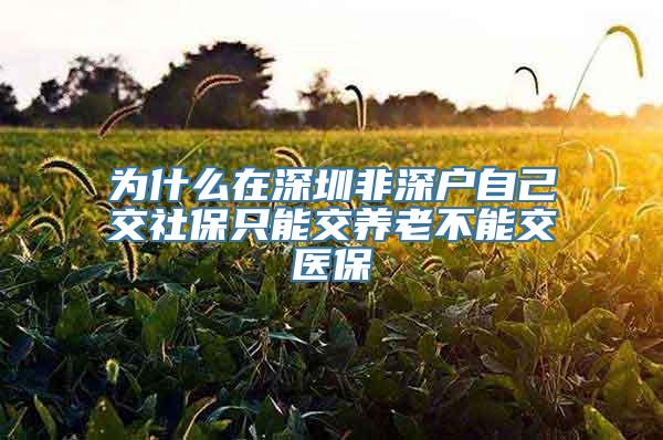 为什么在深圳非深户自己交社保只能交养老不能交医保