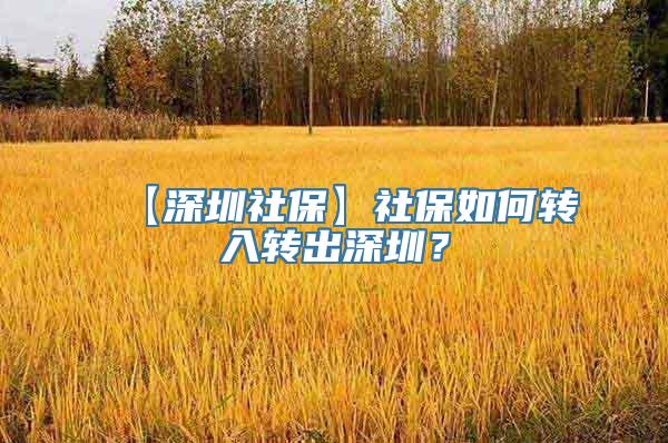 【深圳社保】社保如何转入转出深圳？