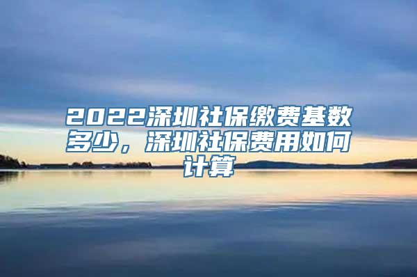 2022深圳社保缴费基数多少，深圳社保费用如何计算