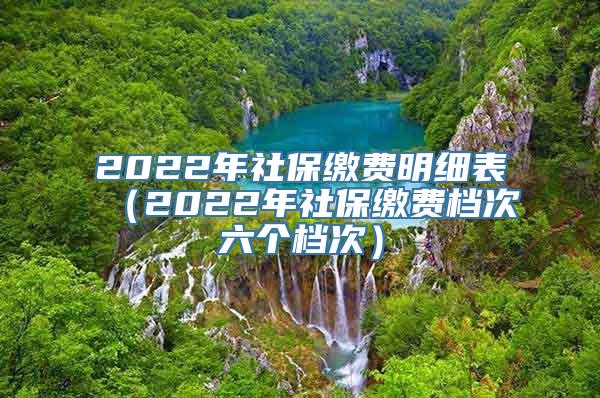 2022年社保缴费明细表（2022年社保缴费档次六个档次）