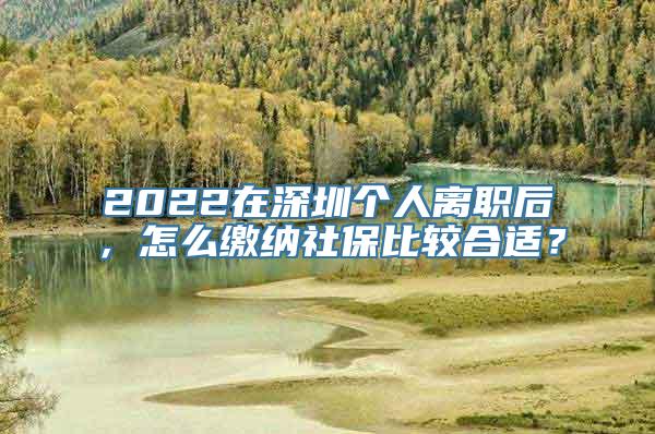 2022在深圳个人离职后，怎么缴纳社保比较合适？