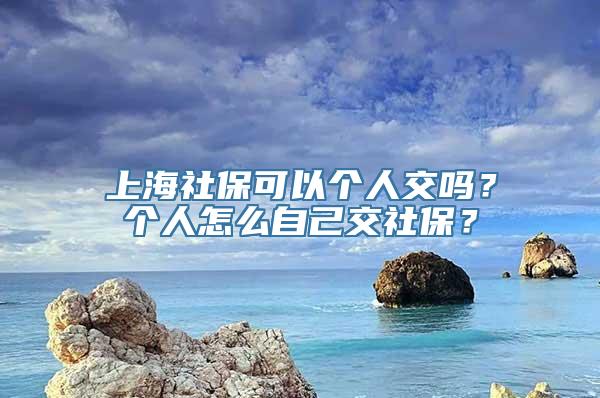 上海社保可以个人交吗？个人怎么自己交社保？