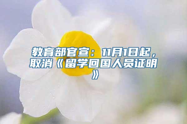 教育部官宣：11月1日起，取消《留学回国人员证明》