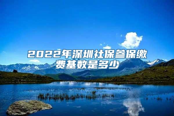 2022年深圳社保参保缴费基数是多少