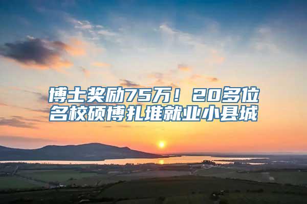 博士奖励75万！20多位名校硕博扎堆就业小县城