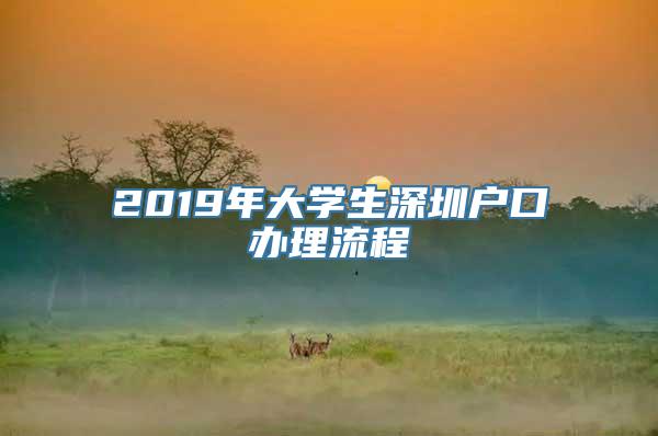 2019年大学生深圳户口办理流程