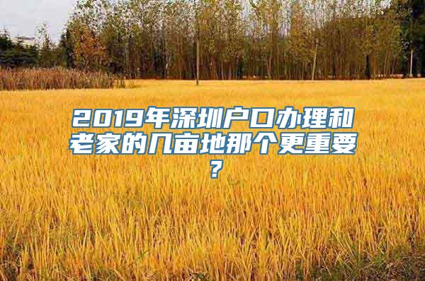 2019年深圳户口办理和老家的几亩地那个更重要？