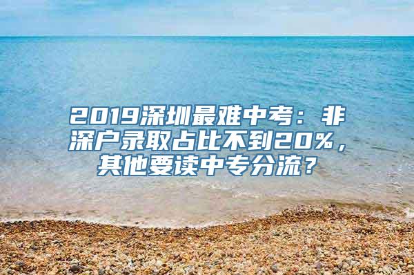 2019深圳最难中考：非深户录取占比不到20%，其他要读中专分流？