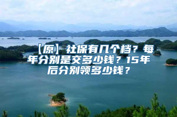 【原】社保有几个档？每年分别是交多少钱？15年后分别领多少钱？