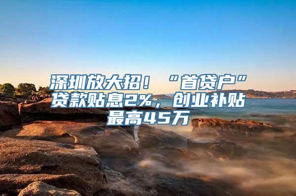 深圳放大招！“首贷户”贷款贴息2%，创业补贴最高45万