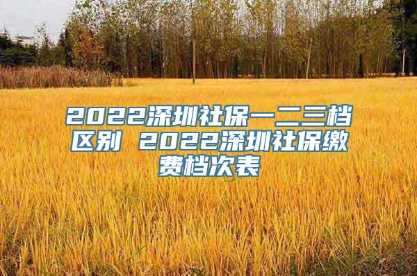 2022深圳社保一二三档区别 2022深圳社保缴费档次表