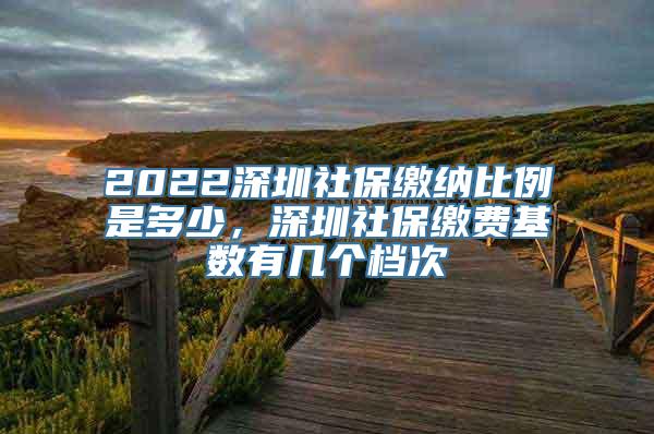 2022深圳社保缴纳比例是多少，深圳社保缴费基数有几个档次