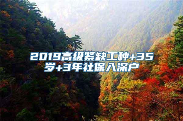 2019高级紧缺工种+35岁+3年社保入深户