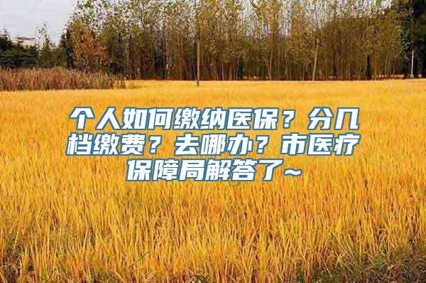 个人如何缴纳医保？分几档缴费？去哪办？市医疗保障局解答了~