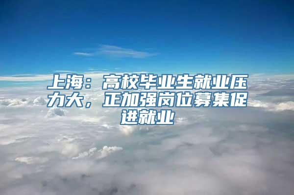 上海：高校毕业生就业压力大，正加强岗位募集促进就业