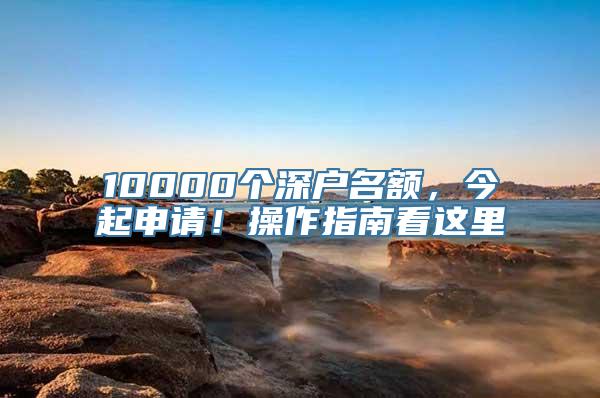 10000个深户名额，今起申请！操作指南看这里