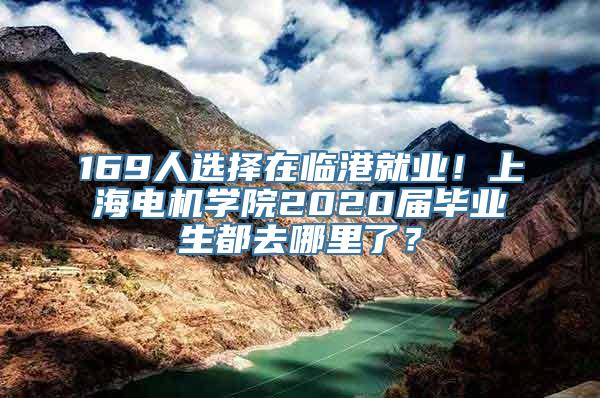 169人选择在临港就业！上海电机学院2020届毕业生都去哪里了？