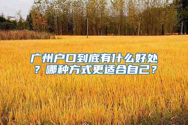 广州户口到底有什么好处？哪种方式更适合自己？