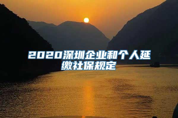 2020深圳企业和个人延缴社保规定