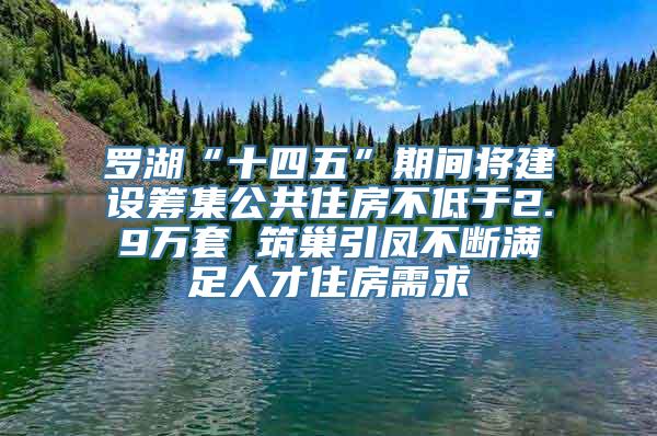 罗湖“十四五”期间将建设筹集公共住房不低于2.9万套 筑巢引凤不断满足人才住房需求