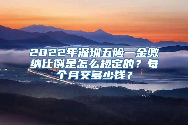 2022年深圳五险一金缴纳比例是怎么规定的？每个月交多少钱？