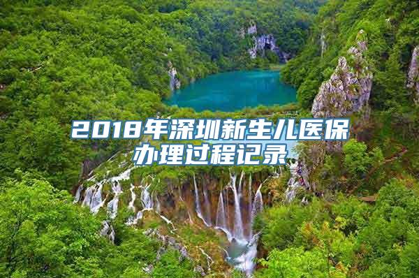 2018年深圳新生儿医保办理过程记录