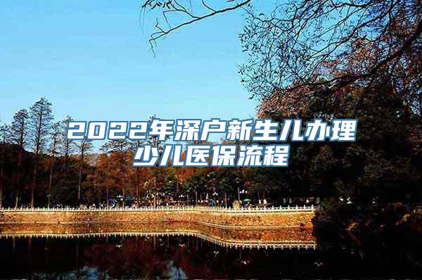 2022年深户新生儿办理少儿医保流程