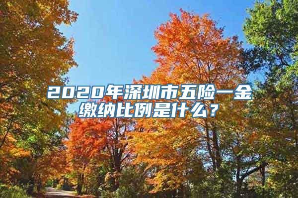 2020年深圳市五险一金缴纳比例是什么？