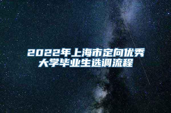 2022年上海市定向优秀大学毕业生选调流程