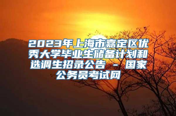 2023年上海市嘉定区优秀大学毕业生储备计划和选调生招录公告 - 国家公务员考试网