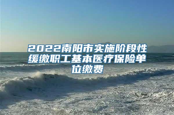 2022南阳市实施阶段性缓缴职工基本医疗保险单位缴费