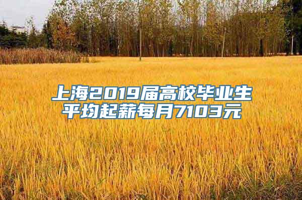 上海2019届高校毕业生平均起薪每月7103元