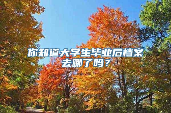 你知道大学生毕业后档案去哪了吗？