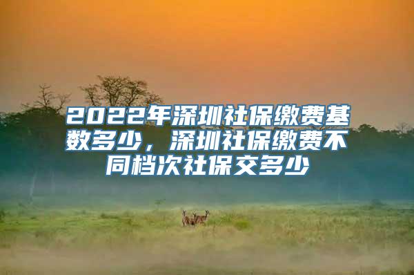 2022年深圳社保缴费基数多少，深圳社保缴费不同档次社保交多少