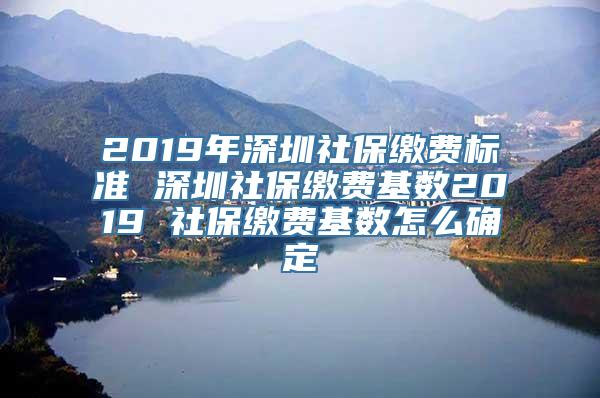 2019年深圳社保缴费标准 深圳社保缴费基数2019 社保缴费基数怎么确定