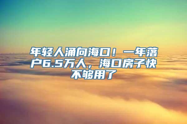 年轻人涌向海口！一年落户6.5万人，海口房子快不够用了