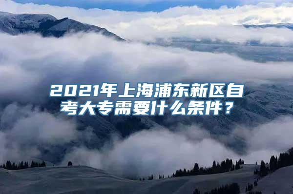 2021年上海浦东新区自考大专需要什么条件？