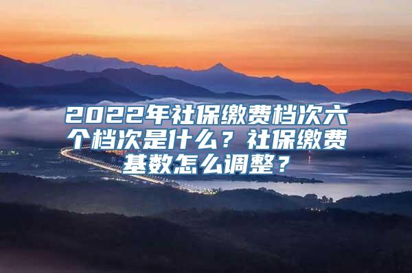 2022年社保缴费档次六个档次是什么？社保缴费基数怎么调整？