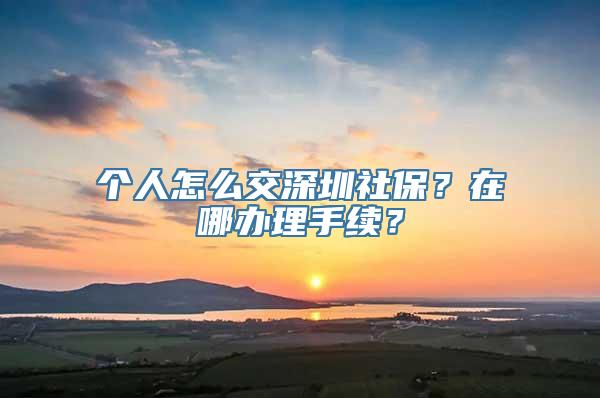 个人怎么交深圳社保？在哪办理手续？