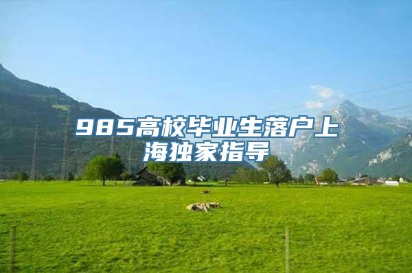 985高校毕业生落户上海独家指导