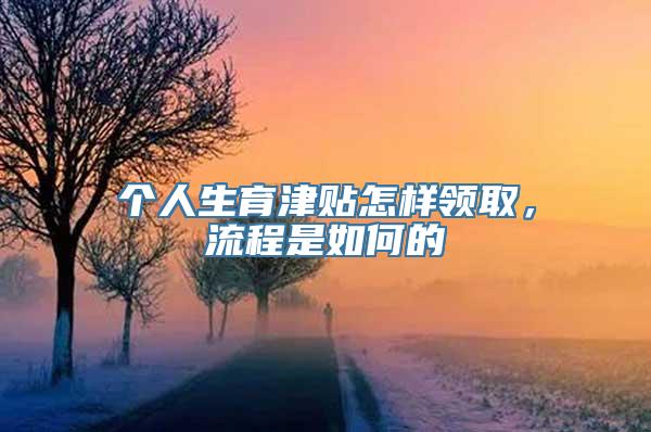 个人生育津贴怎样领取，流程是如何的