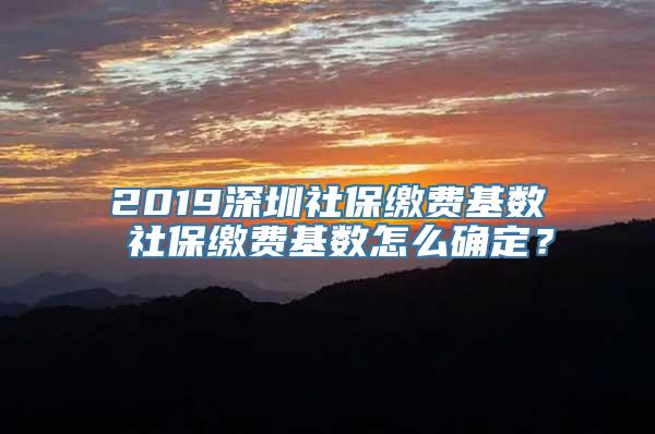 2019深圳社保缴费基数 社保缴费基数怎么确定？