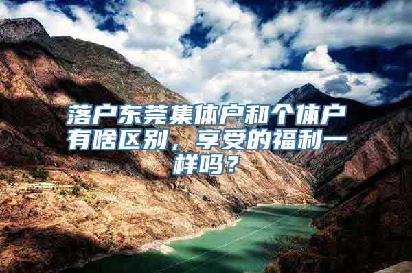 落户东莞集体户和个体户有啥区别，享受的福利一样吗？