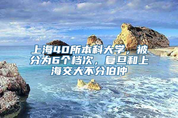 上海40所本科大学，被分为6个档次，复旦和上海交大不分伯仲